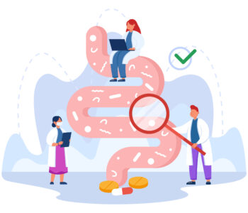 Tiny doctors examining gut flora flat vector illustration. Therapists checking digestive system, gastrointestinal tract, bowel, friendly microorganisms or bacteria. Nutrition, health concept